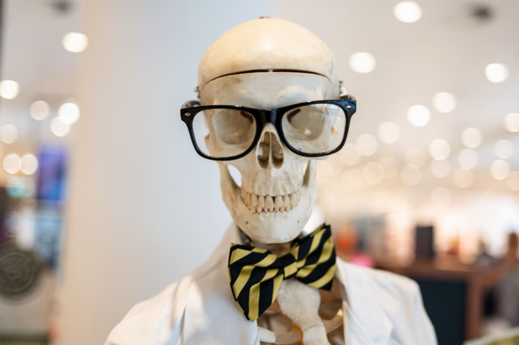 Halloween with hBARSCI: Spooky Science, Eerie Experiments, and—You Guessed It—Skeletons!