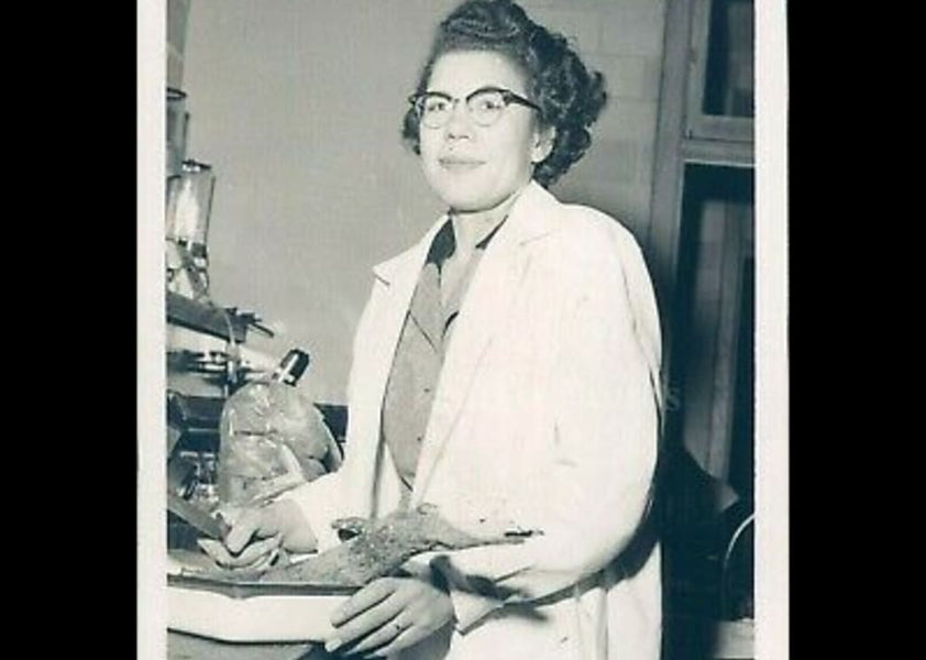 Margaret S. Collins – Entomologist and Civil Rights Activist — hBARSCI