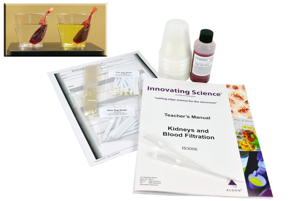 Innovating Science - Kidneys and Blood Filtration Kit