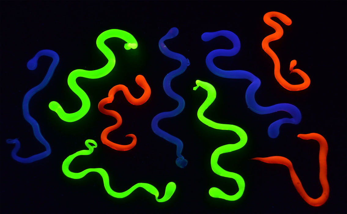 Innovating Science: Polymers Kit - Making Flourescent Worms