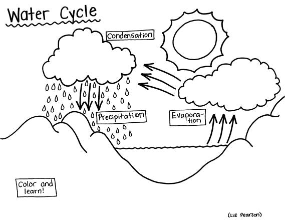 Water Cycle Printable Coloring Page - Educational & Teaching Resource ...