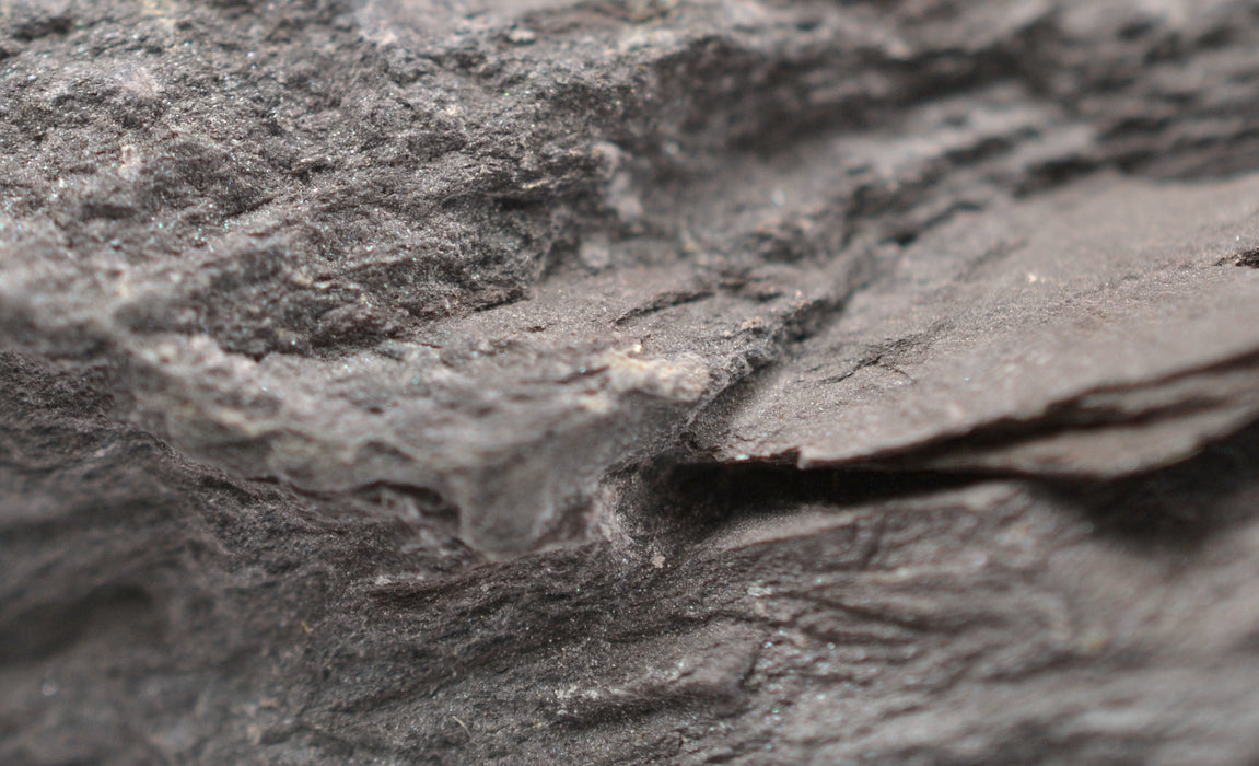 Eisco Hornfels Specimen (Metamorphic Rock), Approx. 1" (3cm)
