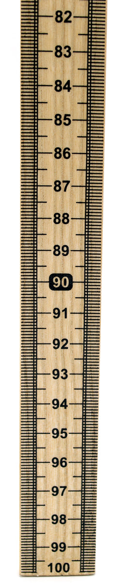 Four Scale Meter Stick - SE-8695 - Products