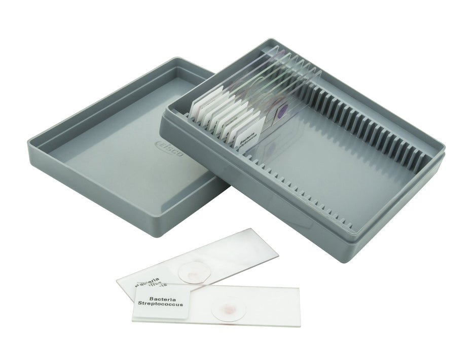 Microscope Slide Set Basic Morphology Slides Set No. XII