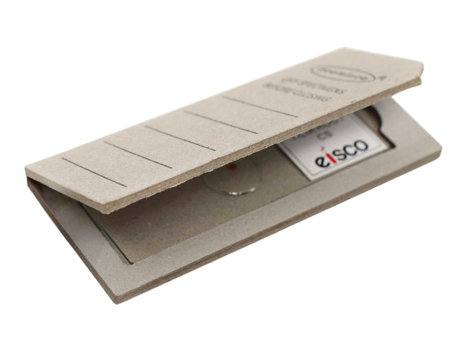 Grantia - Prepared Microscope Slide - 75x25mm