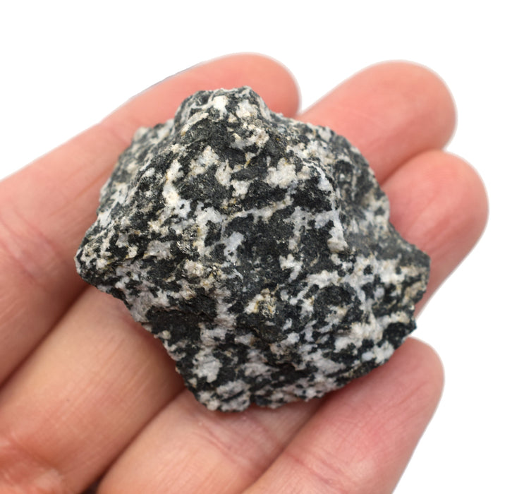 6PK Raw Diorite, Igneous Rock Specimens, ± 1" Each